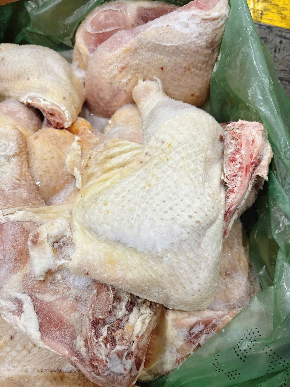Cung Cấp Gà Góc Tư Tận Gốc – Không Qua Trung Gian